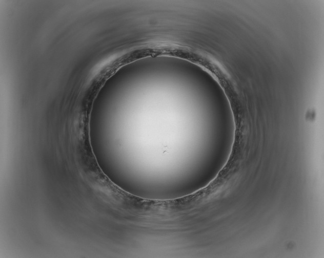 X0000097001016200802081439