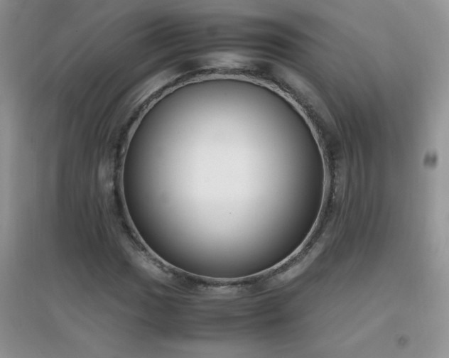 X0000097001017200802081439