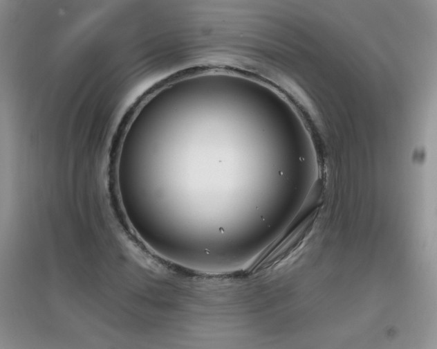 X0000097001020200802081439