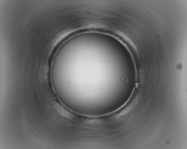 X0000097001021200802081439