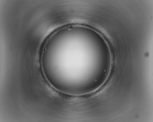 X0000097001022200802081439