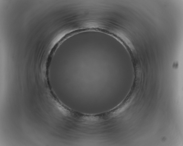 X0000097001023200802081439