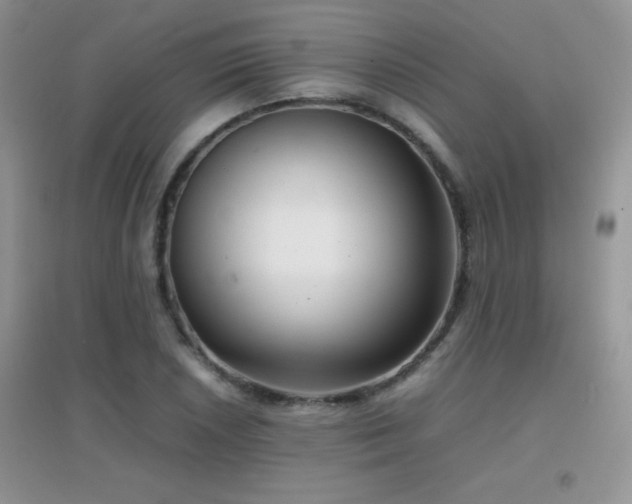X0000097001026200802081439