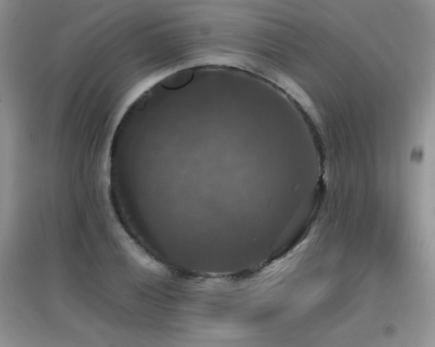 X0000097001028200802081439