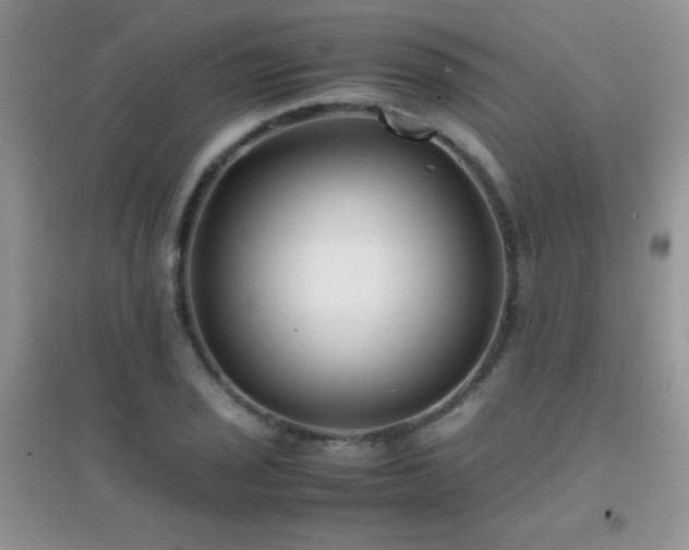 X0000097001029200802081439