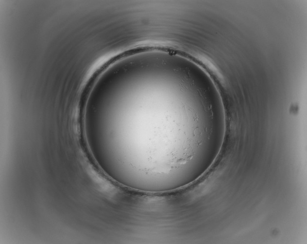 X0000097001030200802081439
