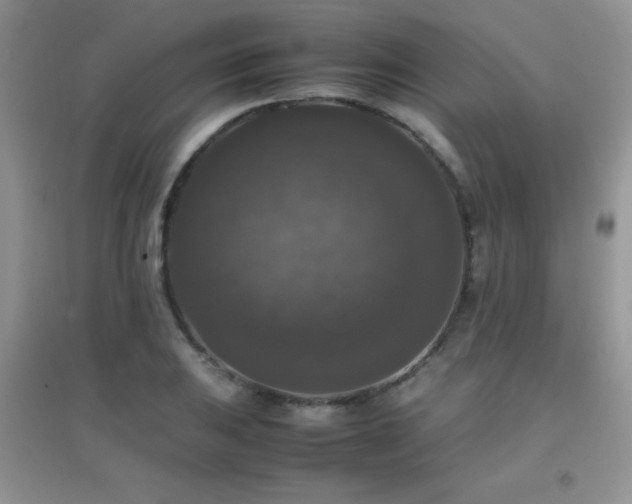 X0000097001031200802081439