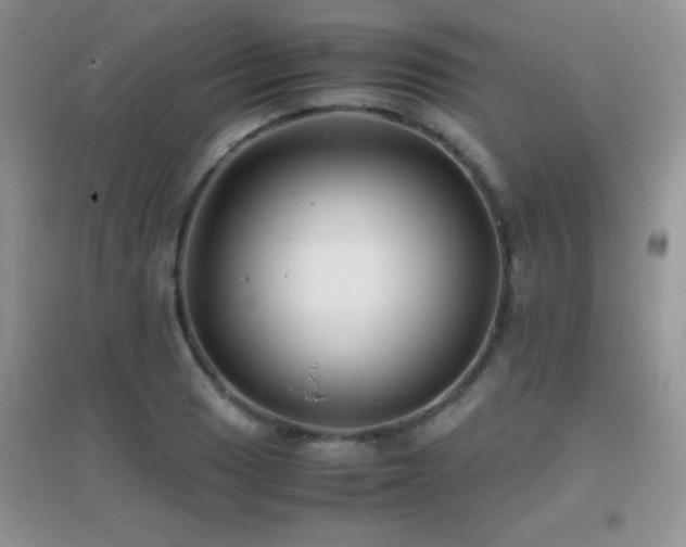 X0000097001033200802081439