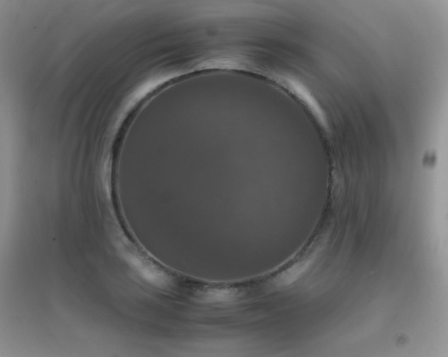 X0000097001035200802081439
