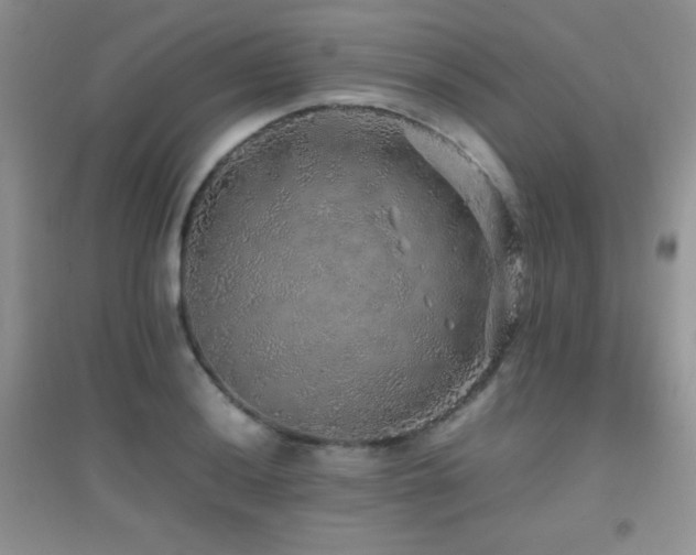 X0000097001036200802081439
