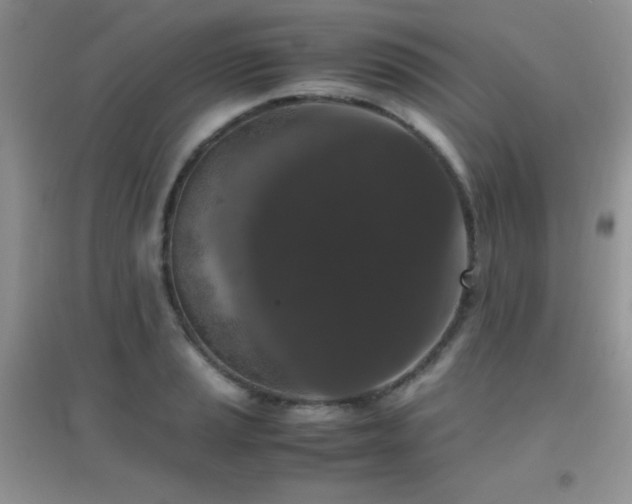 X0000097001037200802081439