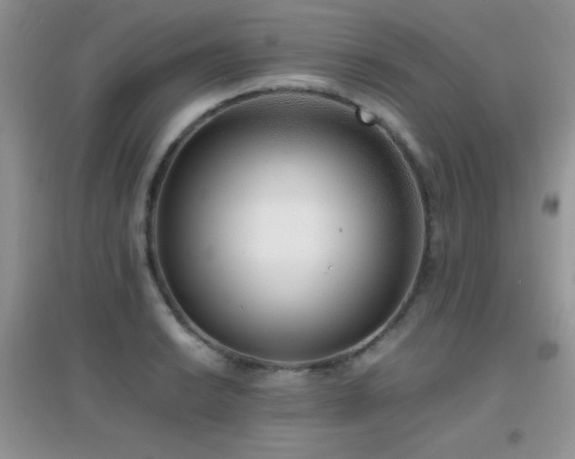 X0000097001038200802081439