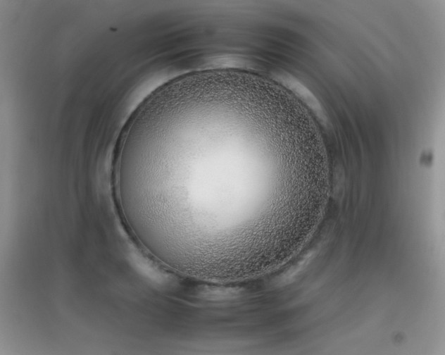X0000097001039200802081439