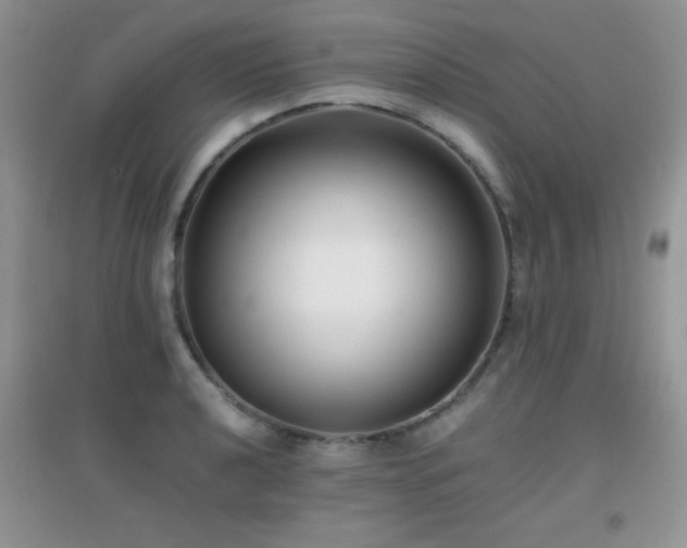 X0000097001040200802081439