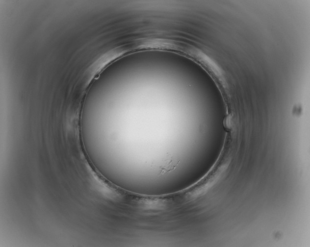X0000097001041200802081439