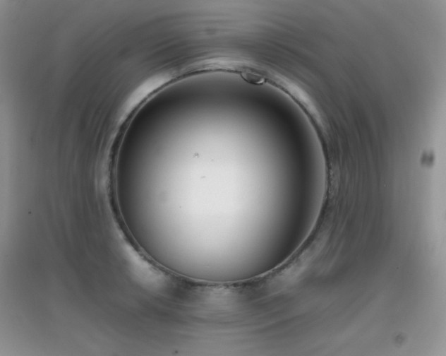 X0000097001042200802081439