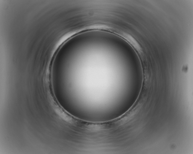 X0000097001044200802081439