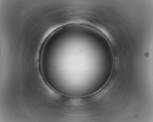 X0000097001046200802081439
