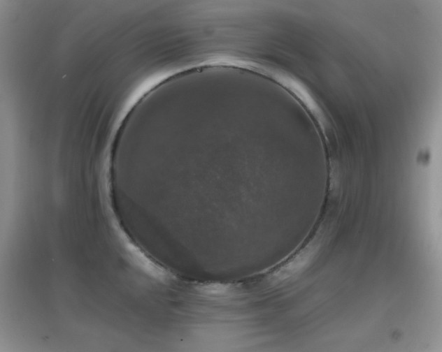 X0000097001048200802081439
