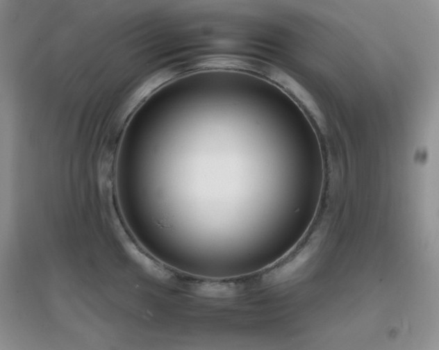 X0000097001049200802081439
