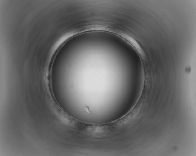 X0000097001051200802081440
