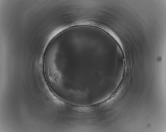 X0000097001053200802081440