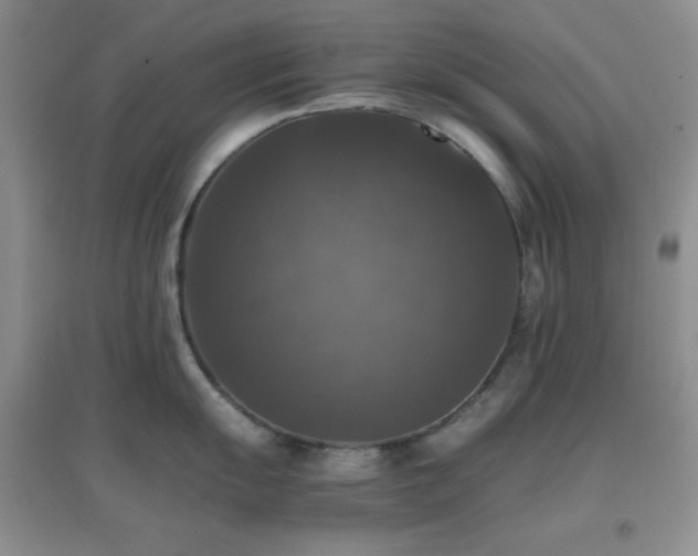 X0000097001055200802081440