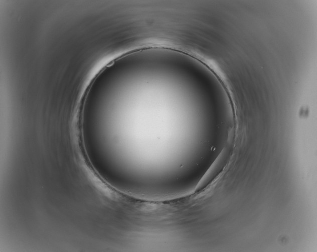 X0000097001056200802081440