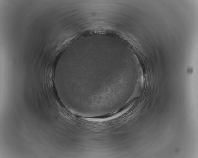 X0000097001060200802081439