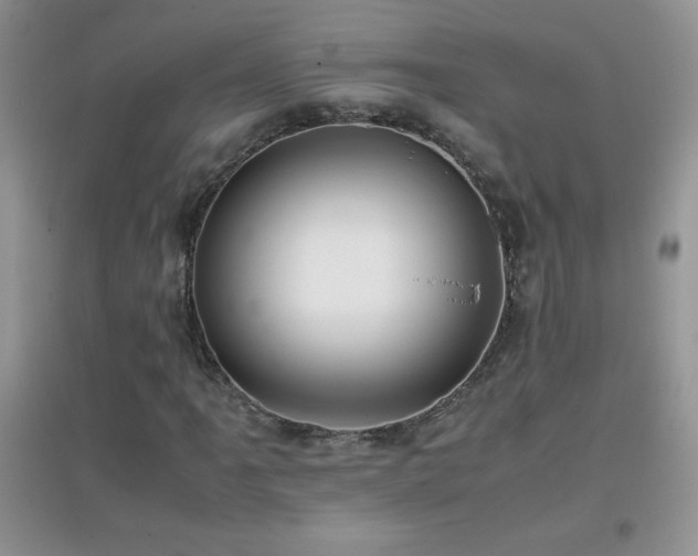 X0000097001061200802081439
