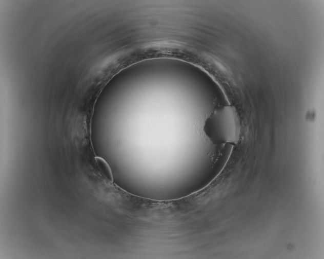 X0000097001062200802081439