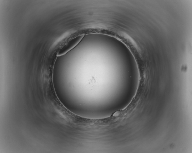 X0000097001064200802081439
