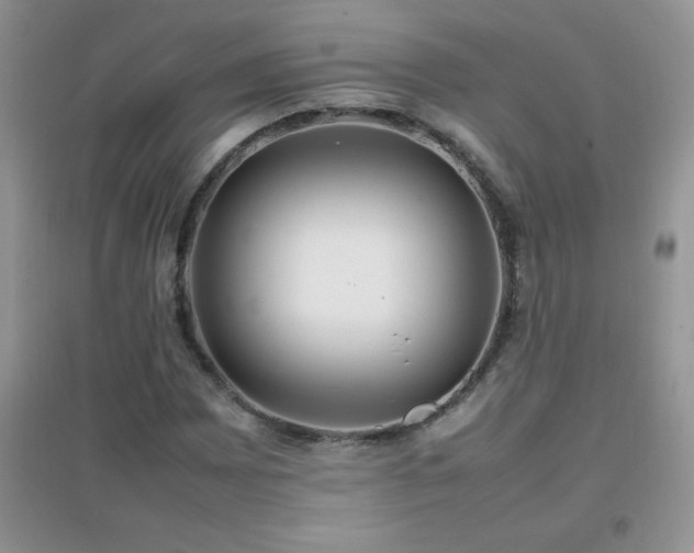 X0000097001065200802081439
