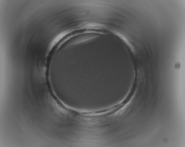 X0000097001066200802081439