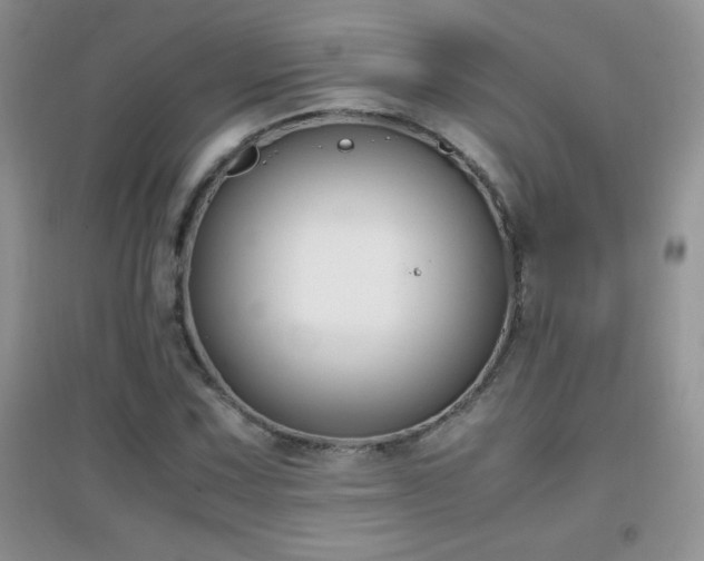 X0000097001067200802081439