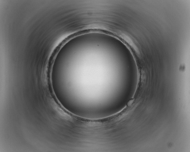 X0000097001068200802081439