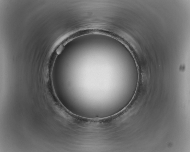 X0000097001069200802081439