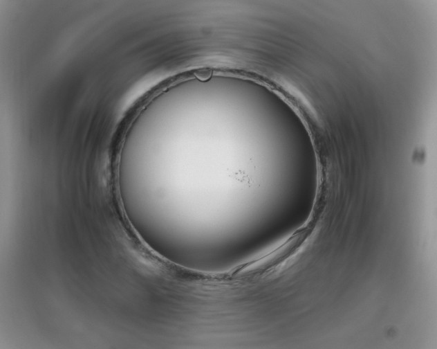 X0000097001070200802081439