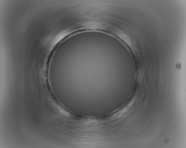 X0000097001071200802081439