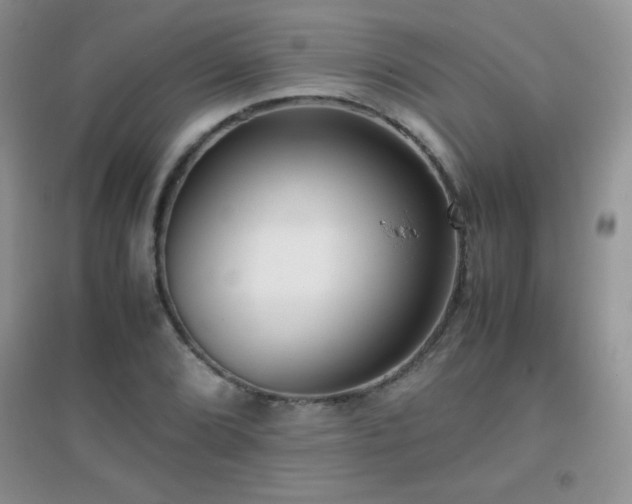 X0000097001072200802081439