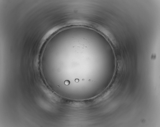 X0000097001074200802081439