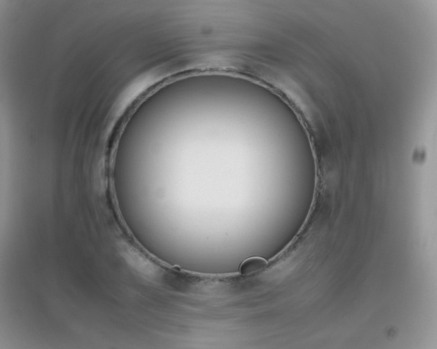 X0000097001075200802081439