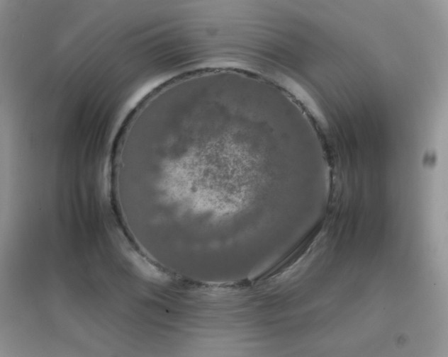X0000097001076200802081439