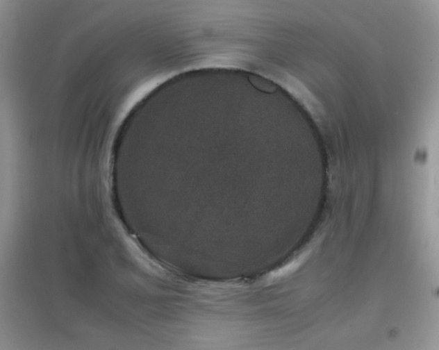 X0000097001077200802081439