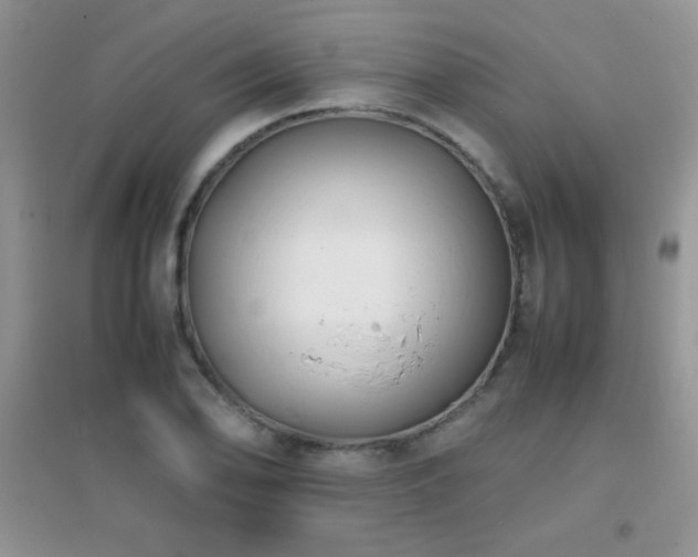 X0000097001078200802081439