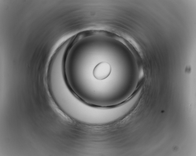 X0000097001080200802081439