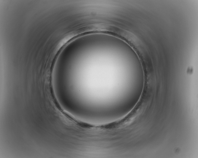 X0000097001081200802081439