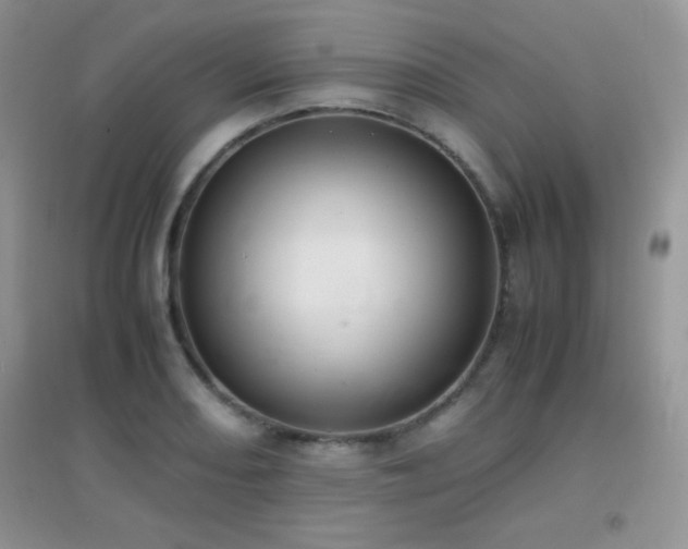 X0000097001082200802081439