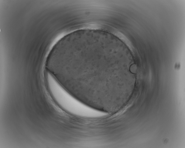X0000097001083200802081439