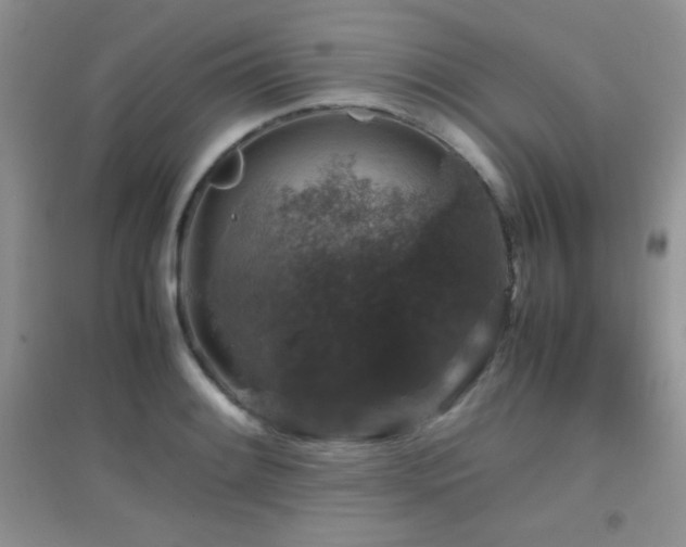X0000097001084200802081439